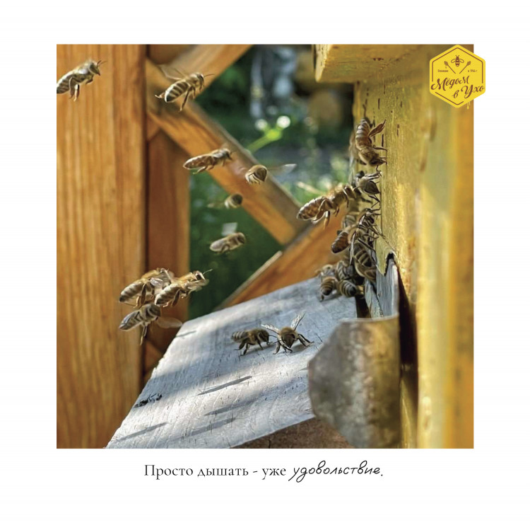 Просто дышать - уже удовольствие.