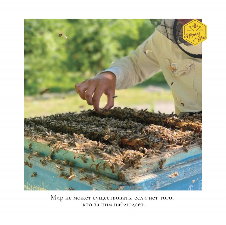 Мир не может существовать, если нет того, кто за ним наблюдает.