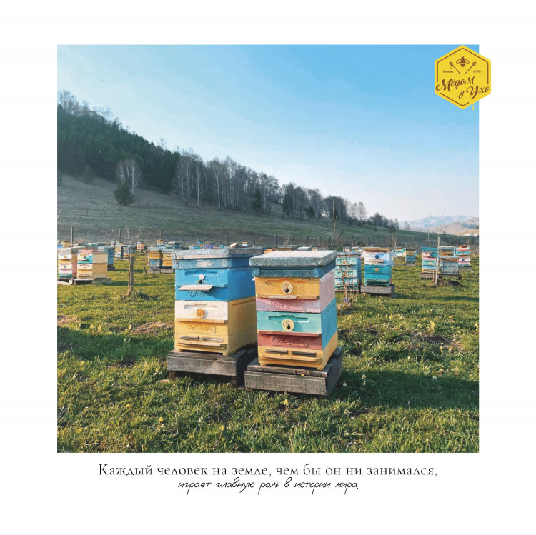 Каждый человек на земле, чем бы он ни занимался, играет главную роль в истории мира.