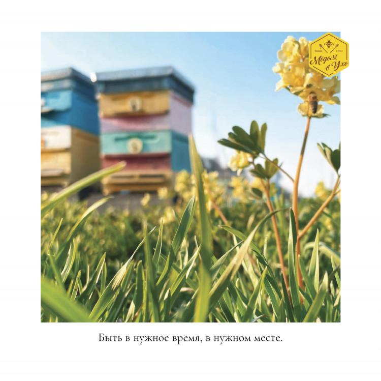 Быть в нужное время, в нужном месте.