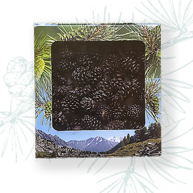 Цукаты из сосновой шишки